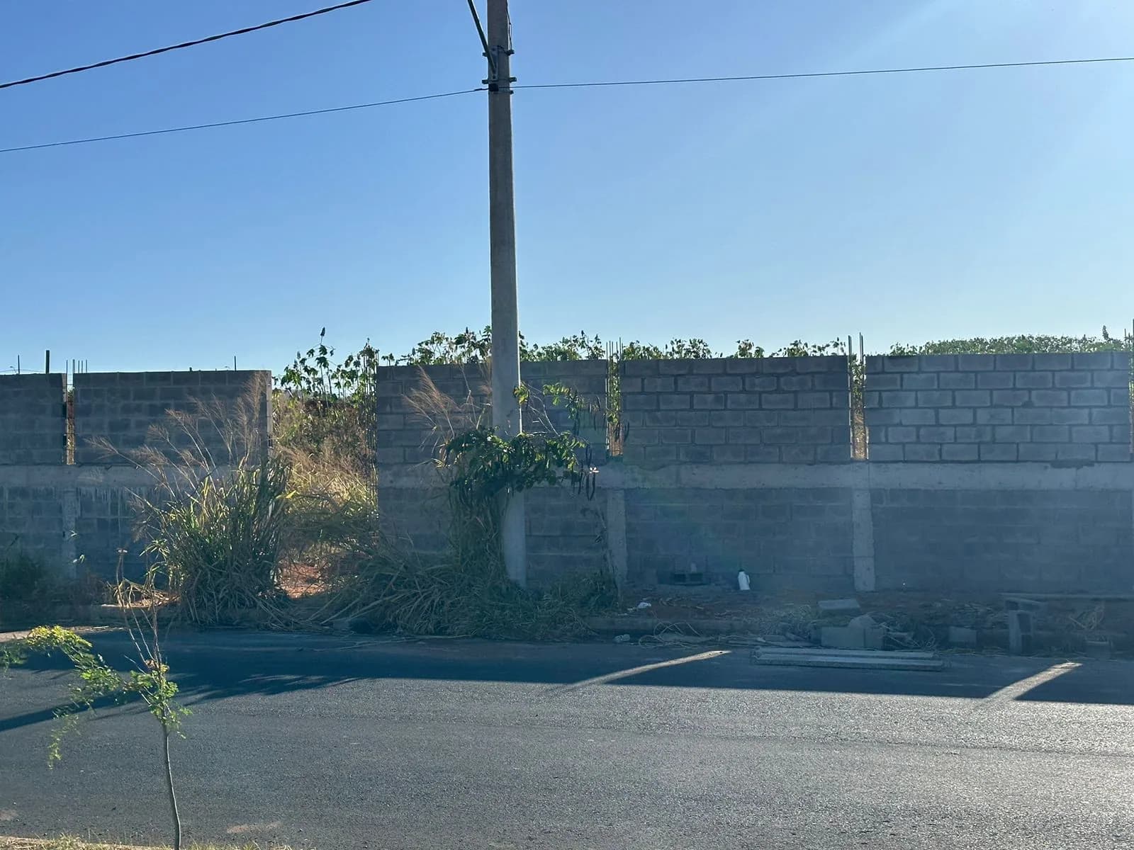 Execução de muro — Canil ONG Casa Mundo Animal — registro 45 da execução
